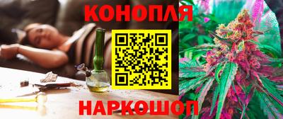 стаф Аргун