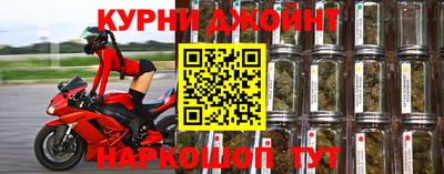 стаф Аргун