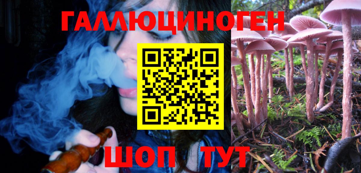 Галлюциногенные грибы Magic Shrooms Ачхой-Мартан