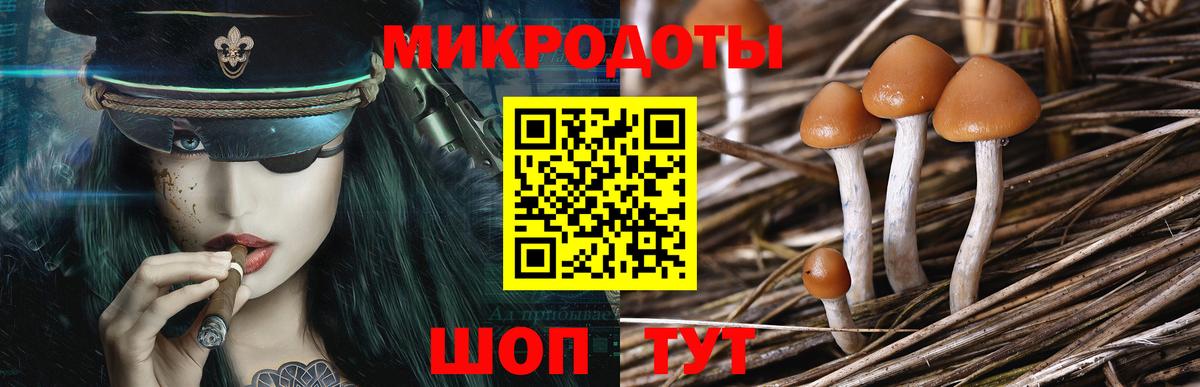 Галлюциногенные грибы MAGIC MUSHROOMS  Вход с VPN  Ачхой-Мартан 